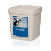 powerfit_calf